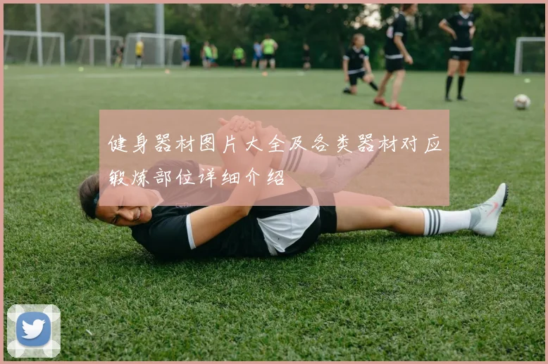 健身器材图片大全及各类器材对应锻炼部位详细介绍