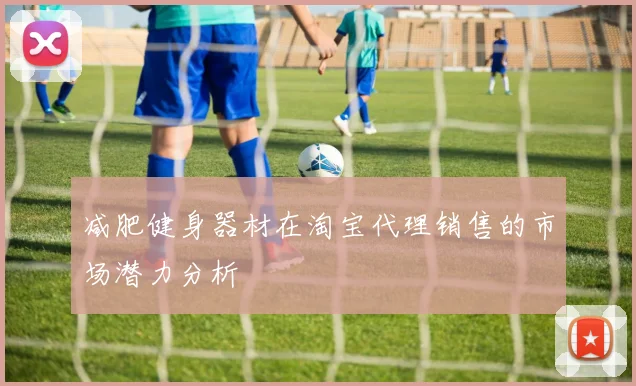 减肥健身器材在淘宝代理销售的市场潜力分析