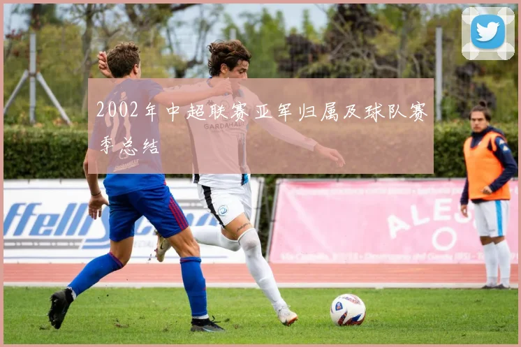 2002年中超联赛亚军归属及球队赛季总结